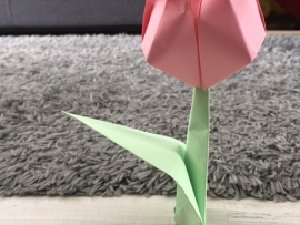 tulipan-z_papieru_brak-patyka